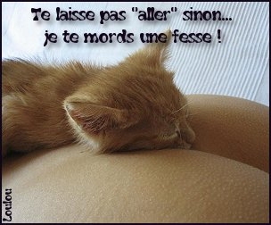 te laisse pas aller sinon...